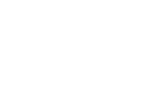 Fist Seguros